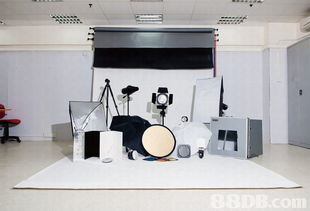 探索专业摄影服务的多样世界